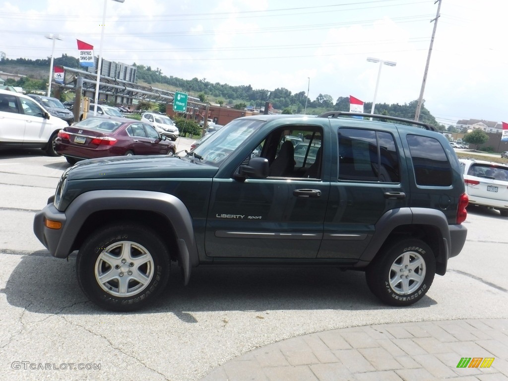 2002 Liberty Sport 4x4 - Shale Green Metallic / Dark Slate Gray photo #6