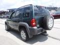 Shale Green Metallic - Liberty Sport 4x4 Photo No. 7