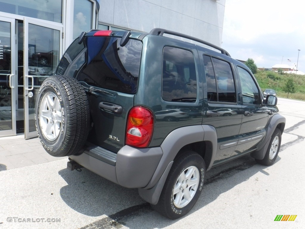 2002 Liberty Sport 4x4 - Shale Green Metallic / Dark Slate Gray photo #9