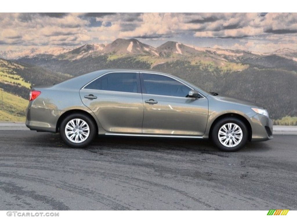 2014 Camry LE - Cypress Pearl / Ivory photo #2