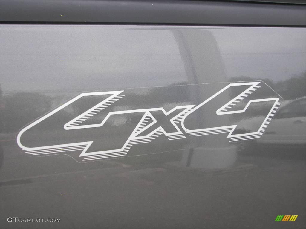 2006 F150 XLT Regular Cab 4x4 - Dark Shadow Grey Metallic / Medium/Dark Flint photo #18