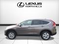 Urban Titanium Metallic - CR-V EX 4WD Photo No. 3