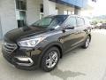 2018 Black Hyundai Santa Fe Sport AWD  photo #6