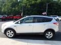 2014 Ingot Silver Ford Escape SE 1.6L EcoBoost 4WD  photo #6