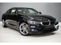Jet Black 2018 BMW 4 Series 430i Coupe Exterior
