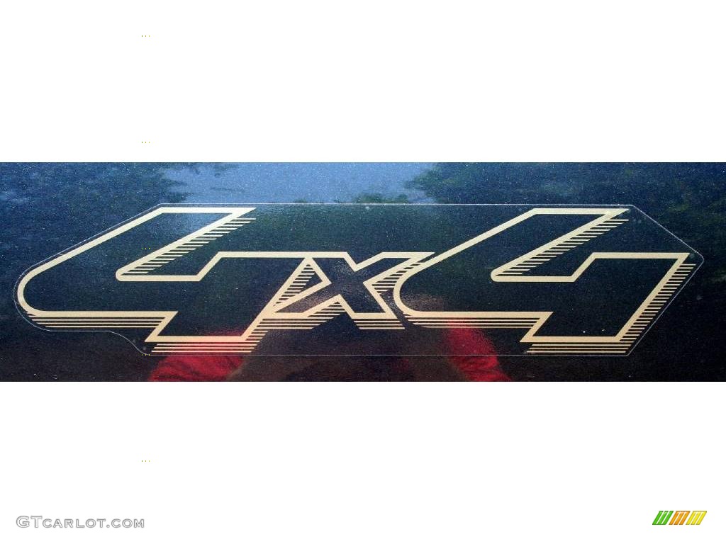 2004 F150 XLT SuperCab 4x4 - Medium Wedgewood Blue Metallic / Tan photo #30
