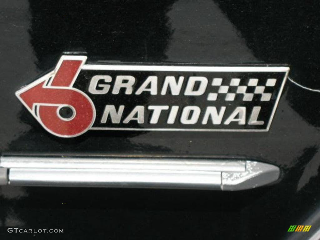 1986 LeSabre Grand National Coupe - Black / Gray photo #10