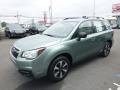 Jasmine Green Metallic 2018 Subaru Forester 2.5i Exterior