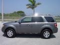 2009 Sterling Grey Metallic Ford Escape Limited V6  photo #3