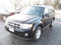 2009 Black Ford Escape XLT V6  photo #2