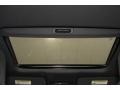Modern Steel Metallic - Civic Si Sedan Photo No. 14