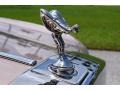 Silica Metallic - Silver Seraph  Photo No. 14