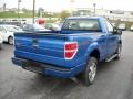 2009 Blue Flame Metallic Ford F150 STX Regular Cab  photo #3