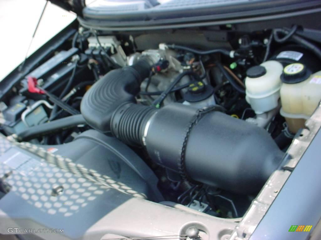 2006 F150 XLT SuperCrew - Black / Medium/Dark Flint photo #15