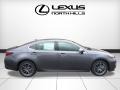 Nebula Gray Pearl - ES 350 Photo No. 2