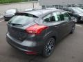 Magnetic - Focus SEL Hatch Photo No. 2