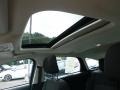 Magnetic - Focus SEL Hatch Photo No. 13