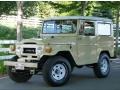 Front 3/4 View of 1966 Land Cruiser FJ40
