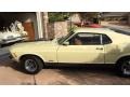 Light Ivy Yellow - Mustang Mach 1 Photo No. 2