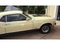 Light Ivy Yellow - Mustang Mach 1 Photo No. 3
