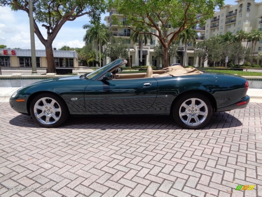 1997 XK XK8 Convertible - British Racing Green / Coffee photo #5