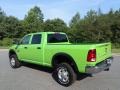 Hills Green - 2500 Tradesman Crew Cab 4x4 Photo No. 8