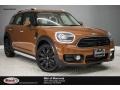 Chestnut 2017 Mini Countryman Cooper