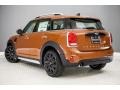 Chestnut - Countryman Cooper Photo No. 3