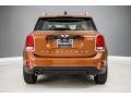 Chestnut - Countryman Cooper Photo No. 4