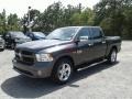 Granite Crystal Metallic - 1500 Express Crew Cab Photo No. 1