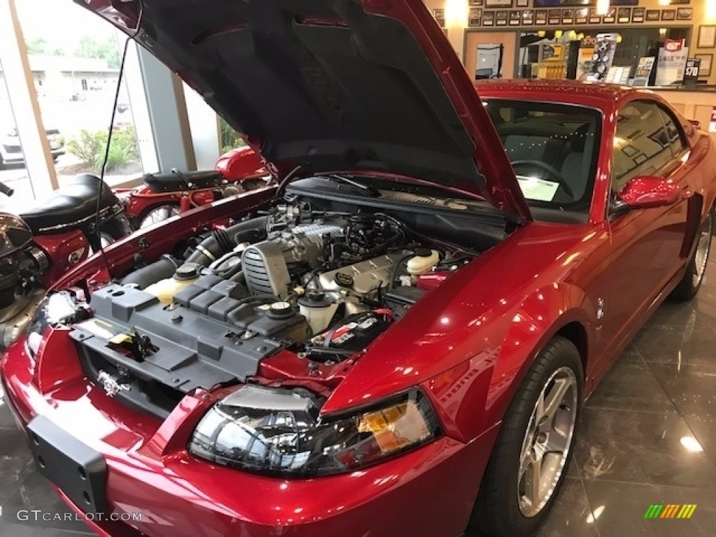 2003 Ford Mustang Cobra Coupe Engine Photos