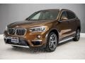 2017 Sparkling Brown Metallic BMW X1 xDrive28i  photo #14