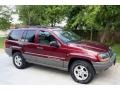 Sienna Pearl - Grand Cherokee Laredo 4x4 Photo No. 17