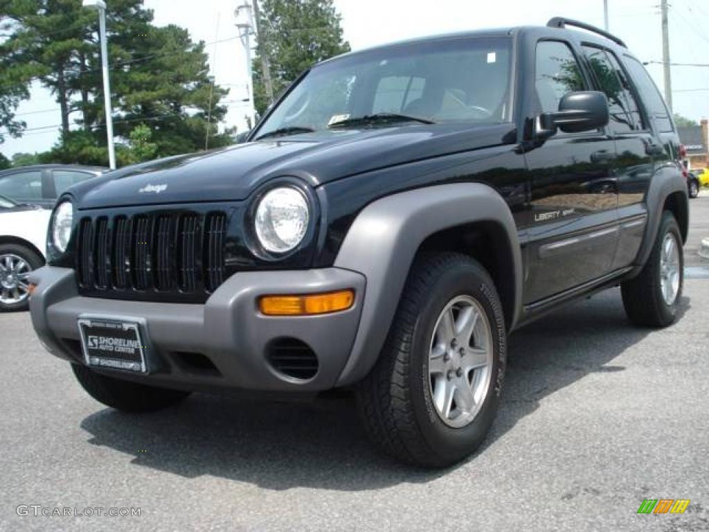 2002 Liberty Sport 4x4 - Black / Dark Slate Gray photo #1