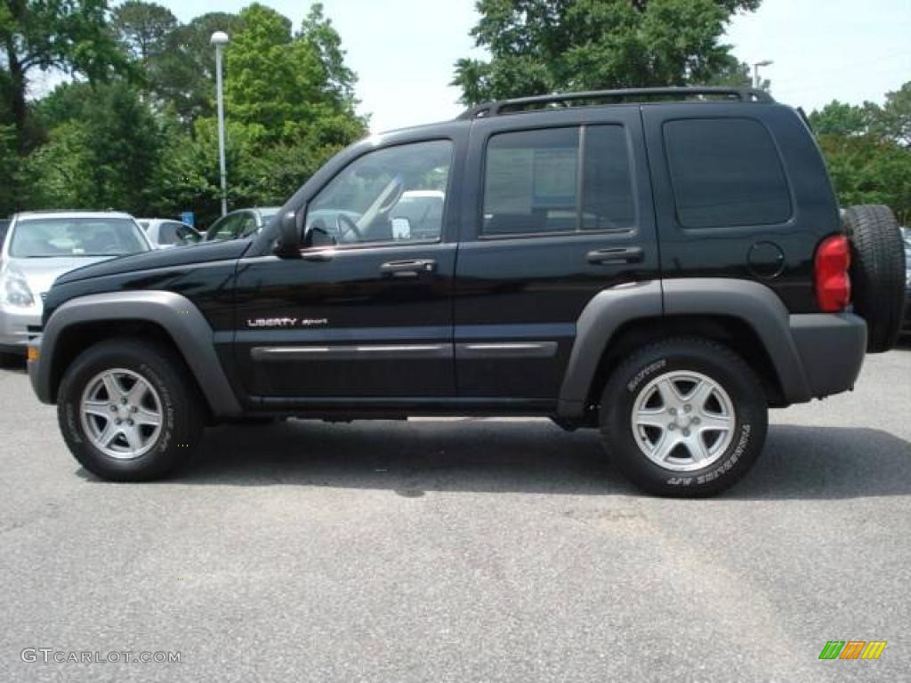 2002 Liberty Sport 4x4 - Black / Dark Slate Gray photo #3