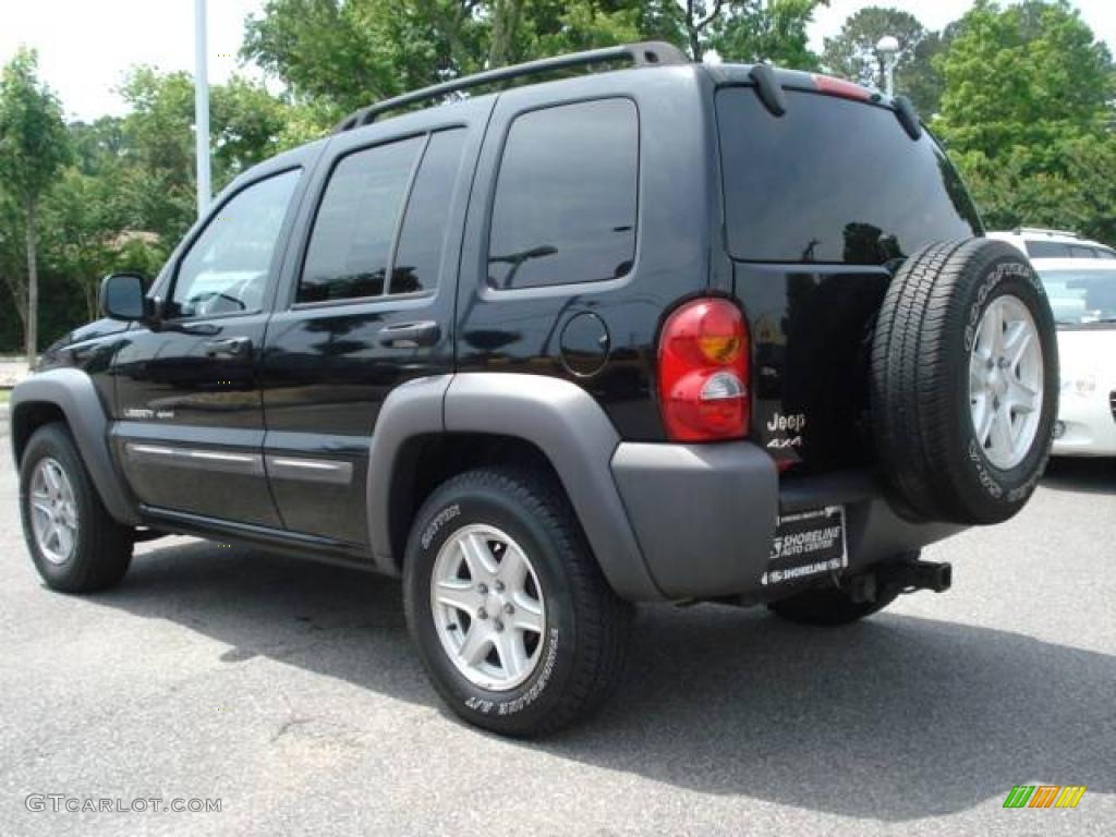 2002 Liberty Sport 4x4 - Black / Dark Slate Gray photo #4