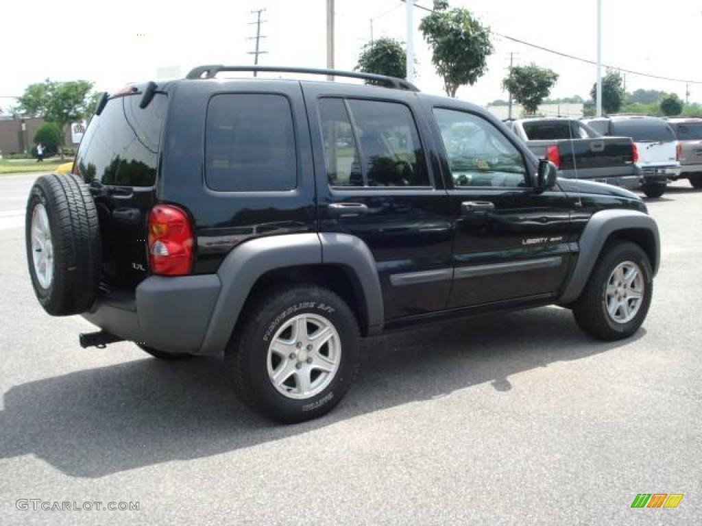 2002 Liberty Sport 4x4 - Black / Dark Slate Gray photo #6