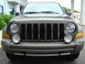 2006 Dark Khaki Pearl Jeep Liberty Renegade 4x4  photo #3