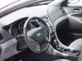 2011 Radiant Silver Hyundai Sonata GLS  photo #10