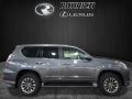 Nebula Gray Pearl - GX 460 Luxury Photo No. 2