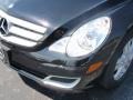 2006 Obsidian Black Metallic Mercedes-Benz R 500 4Matic  photo #5