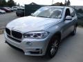 Glacier Silver Metallic - X5 xDrive35i Photo No. 9