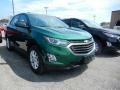 2018 Ivy Metallic Chevrolet Equinox LS  photo #3