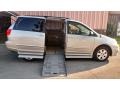 2007 Silver Shadow Pearl Toyota Sienna LE  photo #17