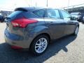 Magnetic - Focus SE Hatch Photo No. 2