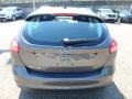 Magnetic - Focus SE Hatch Photo No. 3