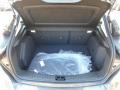 Magnetic - Focus SE Hatch Photo No. 4