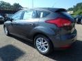 Magnetic - Focus SE Hatch Photo No. 5
