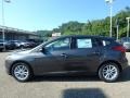 Magnetic - Focus SE Hatch Photo No. 6