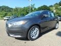 Magnetic - Focus SE Hatch Photo No. 7